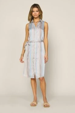 Striped Button Down Dress