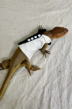 Lizard Black And White Directors Jumpsuit