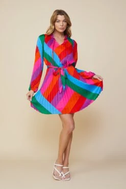 Multicolor Pleated Dress