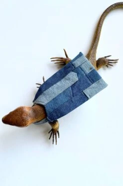 Lizard Brit Denim Gown