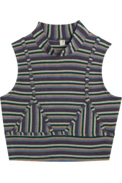 Rainstorm Stripe Bikini Bod Crop Top